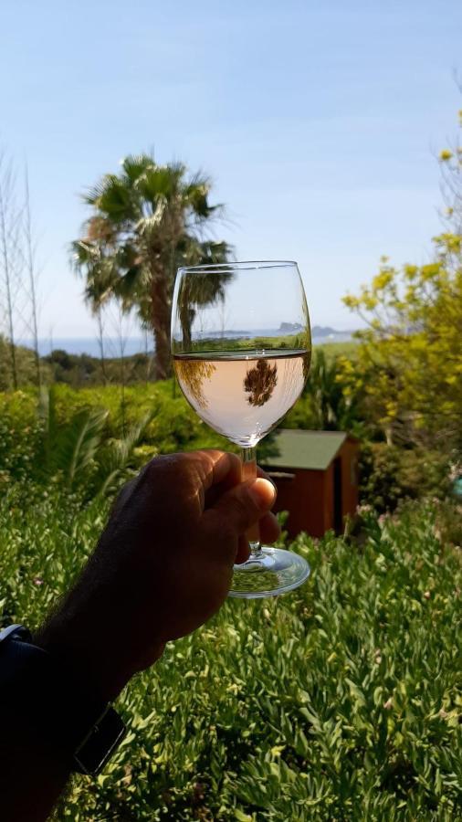 Chambre d'hôtes La Cadière d'Azur Esterno foto