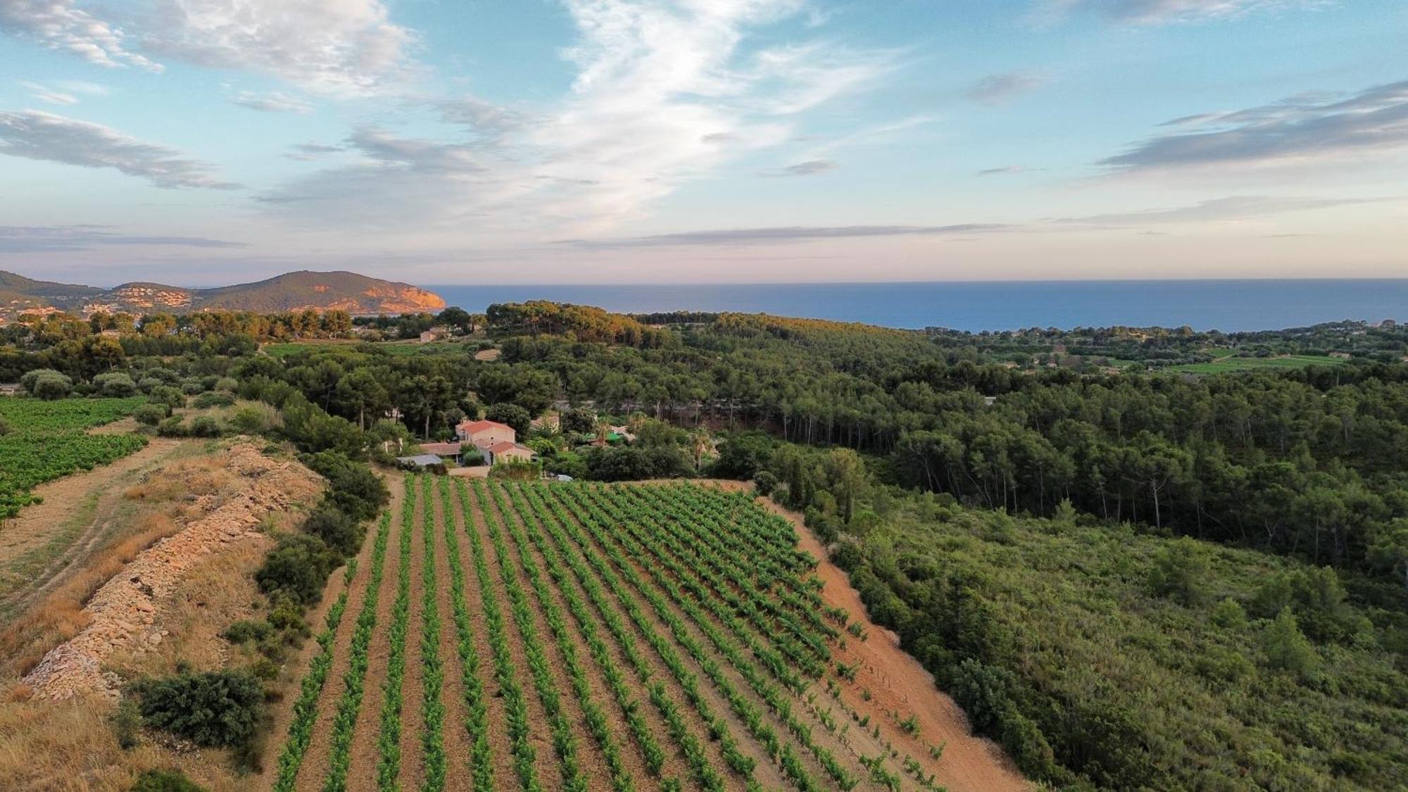 Chambre d'hôtes La Cadière d'Azur Esterno foto